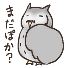 Owl POPOTA sticker #3950177