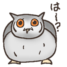 Owl POPOTA sticker #3950178