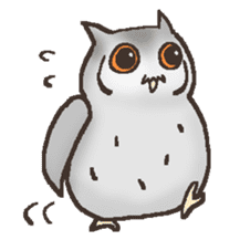 Owl POPOTA sticker #3950180