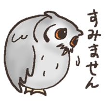 Owl POPOTA sticker #3950182