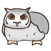 Owl POPOTA sticker #3950185