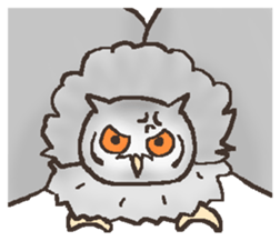 Owl POPOTA sticker #3950186
