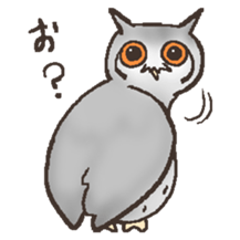 Owl POPOTA sticker #3950187