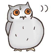 Owl POPOTA sticker #3950190
