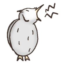 Owl POPOTA sticker #3950191