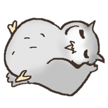 Owl POPOTA sticker #3950192