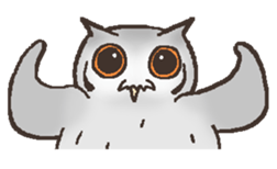 Owl POPOTA sticker #3950193