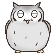 Owl POPOTA sticker #3950194