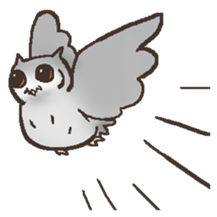 Owl POPOTA sticker #3950196