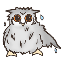 Owl POPOTA sticker #3950202
