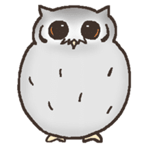 Owl POPOTA sticker #3950206