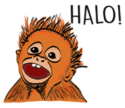 Baby Orangutan (Indonesian) sticker #3950887