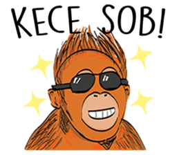 Baby Orangutan (Indonesian) sticker #3950889