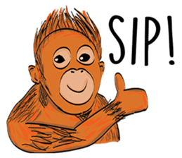 Baby Orangutan (Indonesian) sticker #3950893