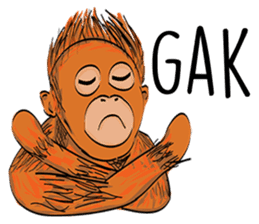 Baby Orangutan (Indonesian) sticker #3950894