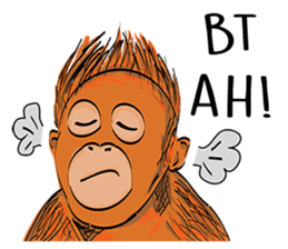 Baby Orangutan (Indonesian) sticker #3950895