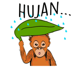 Baby Orangutan (Indonesian) sticker #3950905