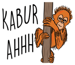 Baby Orangutan (Indonesian) sticker #3950910