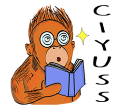 Baby Orangutan (Indonesian) sticker #3950919