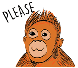 Baby Orangutan (Indonesian) sticker #3950926