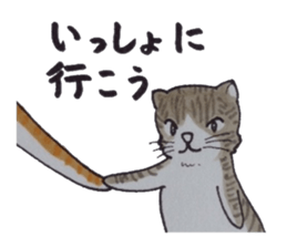 That cat is hoping for nothing. sticker #3951976