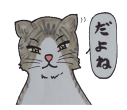 That cat is hoping for nothing. sticker #3951982