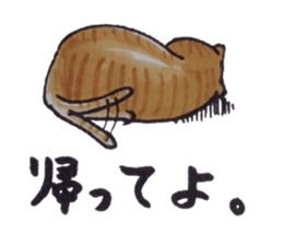 That cat is hoping for nothing. sticker #3951996