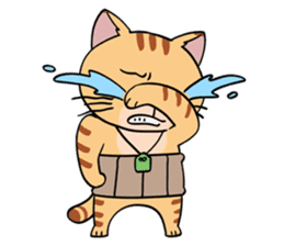 Let's communicate with oyaji-cat sticker #3952409