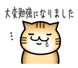 Courteous Cat sticker #3952732