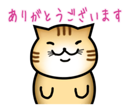 Courteous Cat sticker #3952734