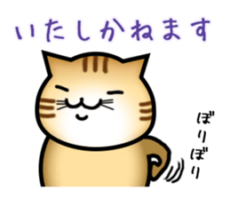 Courteous Cat sticker #3952752