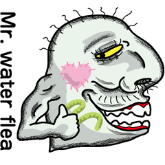 Mr. water flea