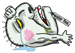 Mr. water flea sticker #3953384