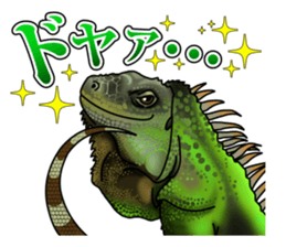 Reptilia Sticker sticker #3954142