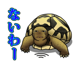 Reptilia Sticker sticker #3954154