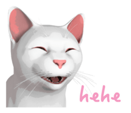 Can't hate this cat. ENG ver. sticker #3954370
