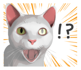 Can't hate this cat. ENG ver. sticker #3954372