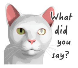 Can't hate this cat. ENG ver. sticker #3954377