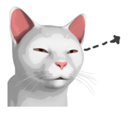 Can't hate this cat. ENG ver. sticker #3954378