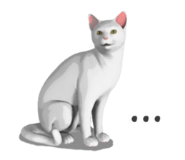 Can't hate this cat. ENG ver. sticker #3954382