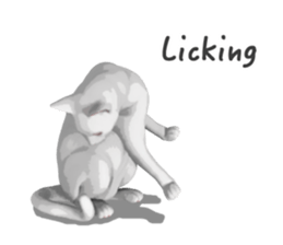 Can't hate this cat. ENG ver. sticker #3954387