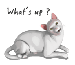 Can't hate this cat. ENG ver. sticker #3954389