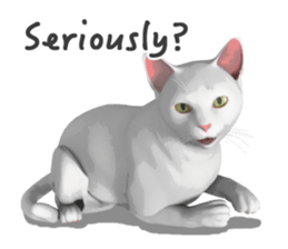 Can't hate this cat. ENG ver. sticker #3954390