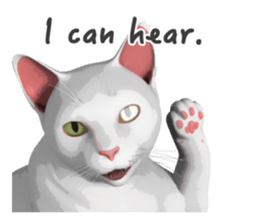 Can't hate this cat. ENG ver. sticker #3954392