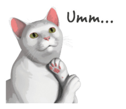 Can't hate this cat. ENG ver. sticker #3954395