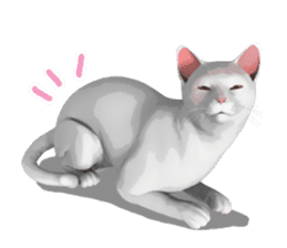 Can't hate this cat. ENG ver. sticker #3954396