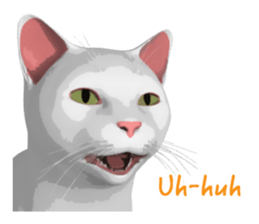 Can't hate this cat. ENG ver. sticker #3954403