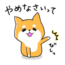 My Shiba dog sticker #3955577