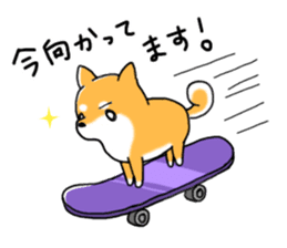 My Shiba dog sticker #3955589