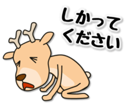 Deer 100% with horse sticker #3956852